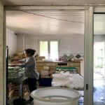 Alpilles: Discover vineyards and farms by electric bike - The Value of This Experience
