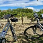 Alpilles: Discover vineyards and farms by electric bike - Why Consider This Tour?