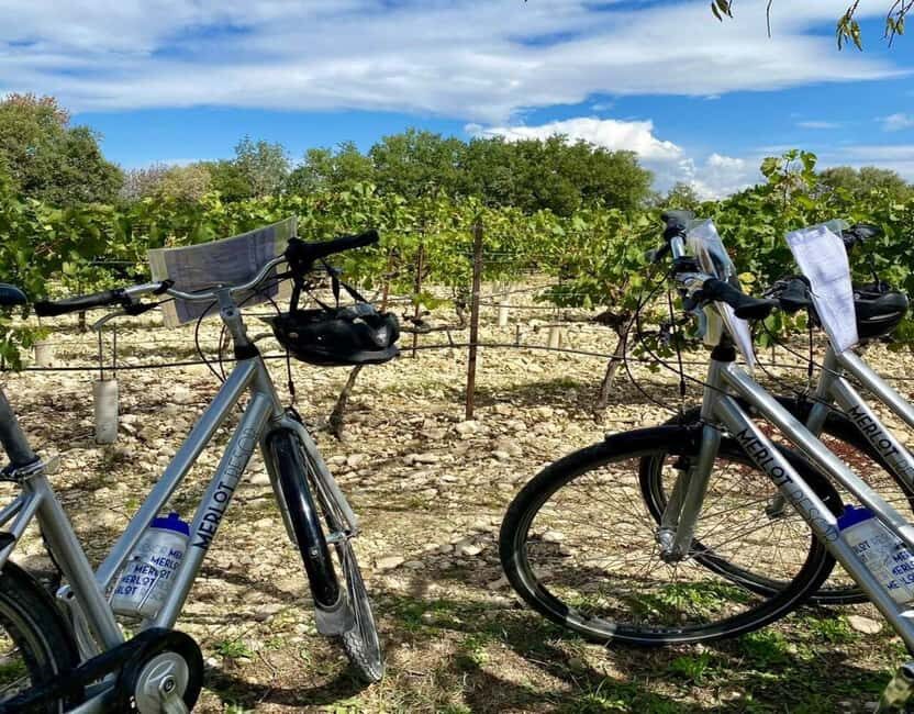 Alpilles: Discover vineyards and farms by electric bike - Why Consider This Tour?