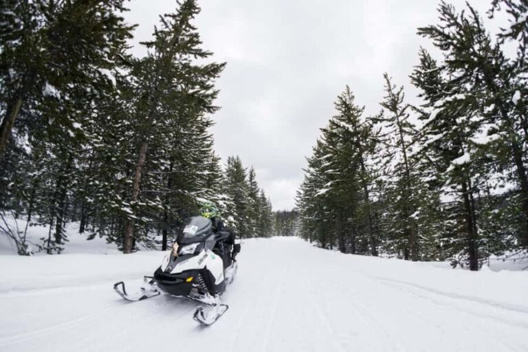 Alpine: Snowmobile Rental with Gear and Trailer - FAQs