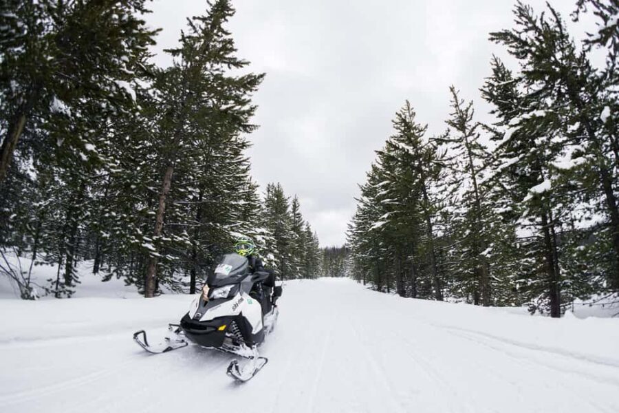 Alpine: Snowmobile Rental with Gear and Trailer - FAQs