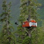 Alpine Zipline Adventure in Juneau, AK - Why This Tour Offers Good Value