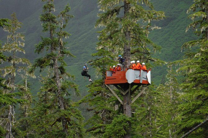 Alpine Zipline Adventure in Juneau, AK - Why This Tour Offers Good Value