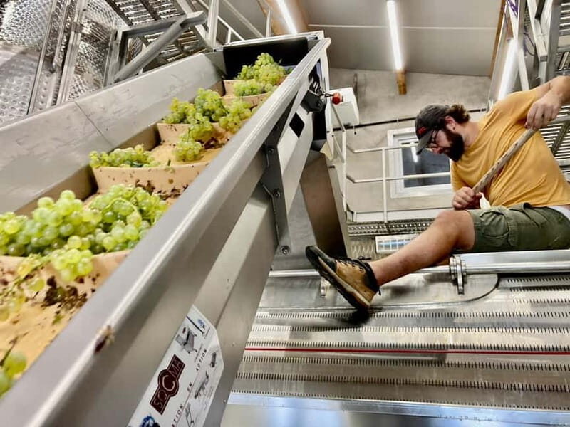 Alsace gourmande: Cellar visit and snack tasting - Who Will Appreciate This Experience?
