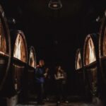 Alsace: Guided Wine Tasting and Cellar Visit - An In-Depth Look at the Alsace Wine Tasting Tour