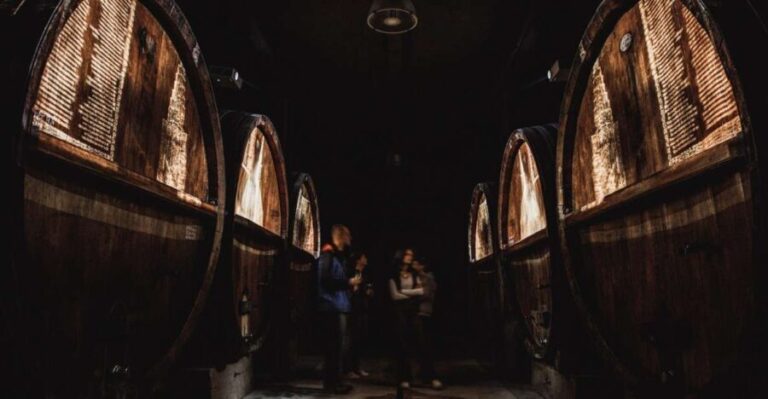Alsace: Guided Wine Tasting and Cellar Visit - An In-Depth Look at the Alsace Wine Tasting Tour