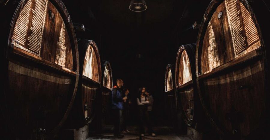 Alsace: Guided Wine Tasting and Cellar Visit - An In-Depth Look at the Alsace Wine Tasting Tour