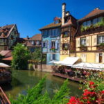 Alsace Half-Day Wine Tour from Strasbourg - What to Expect: In-Depth Look at the Experience