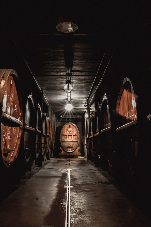Alsace: Wine Tasting and Gourmet Christmas Lunch - In-Depth Review: Why It Works and What to Expect