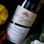 Alsace: Winery Tour and Alsatian Wine Tasting - An In-Depth Look at the Alsace Winery Experience