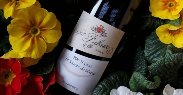 Alsace: Winery Tour and Alsatian Wine Tasting - An In-Depth Look at the Alsace Winery Experience