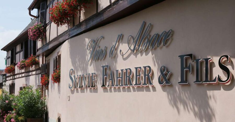 Alsace: Winery Tour & Tasting - What to Expect and Practical Details