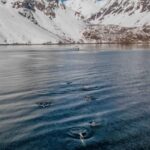 Alta: Altafjord Whale Watching in a Heated Boat - Practical tips for making the most of your whale watching experience