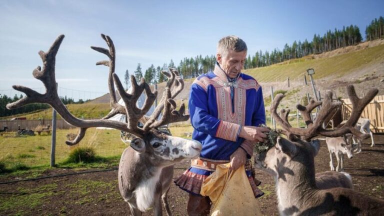 Alta: Reindeer - A carrier of Sámi Culture - Who Is This Tour Best For?