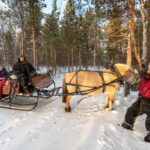 Alta: Sleigh Ride in the Arctic Countryside - FAQs