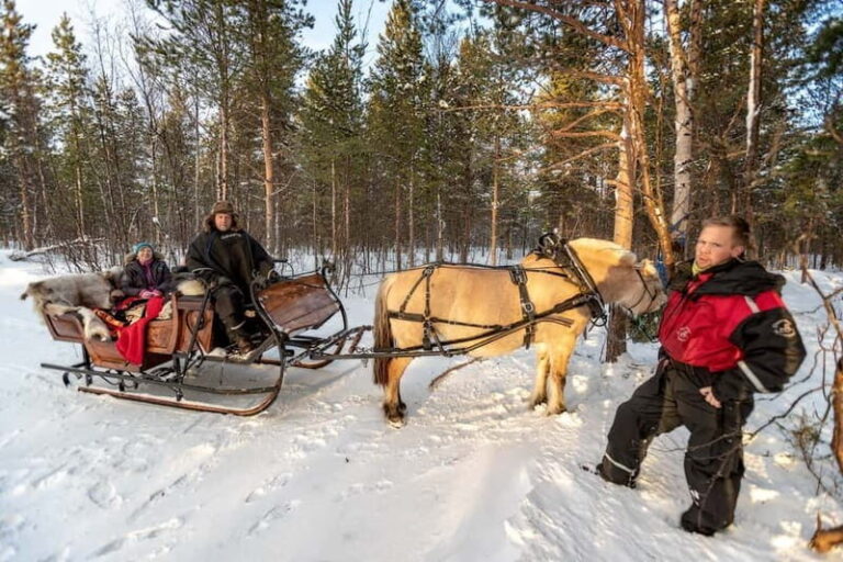 Alta: Sleigh Ride in the Arctic Countryside - FAQs
