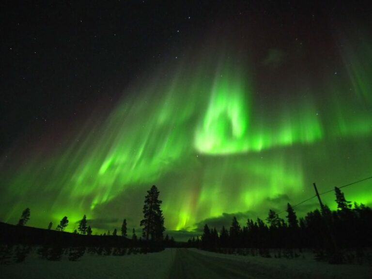 Alta: Small-Group Guided Northern Lights Tour - An In-Depth Look at the Northern Lights Experience