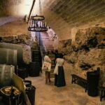 Altamura: Wine Museum Guided Tour with Tasting - A Closer Look at the Experience