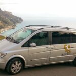 Amalfi Coast and Pompeii for Families Private Tour - What Real Travelers Say