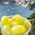 Amalfi Coast day tour - Who Should Consider This Tour?