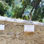 Amalfi Coast: Hike Along the Path of the Lemons - Final Thoughts