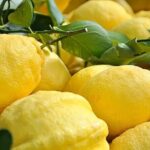 Amalfi Coast - Maiori: Path of Lemons Tour with Tasting - Final Thoughts: Is It Worth It?