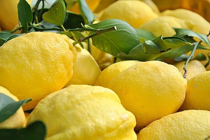Amalfi Coast - Maiori: Path of Lemons Tour with Tasting - Final Thoughts: Is It Worth It?