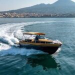 Amalfi Coast Sharing boat tour - Practical Details and Value