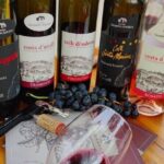 Amalfi Coast vintage tour with cheese and wine tastings - What to Expect at Each Stop