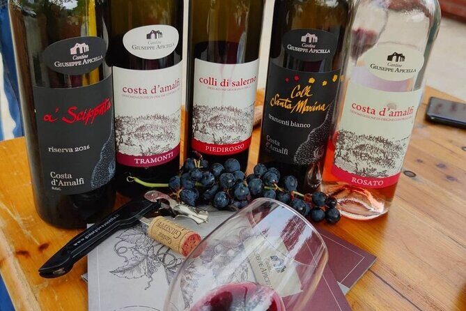 Amalfi Coast vintage tour with cheese and wine tastings - What to Expect at Each Stop