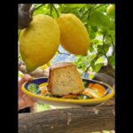 Amalfi Organic Lemon Tour & Tasting in the Historical Garden - Final Word