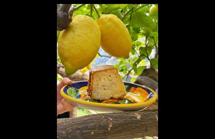 Amalfi Organic Lemon Tour & Tasting in the Historical Garden - Final Word