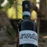 Amarone 2005 Wine Experience - A Detailed Look at the Amarone 2005 Wine Experience