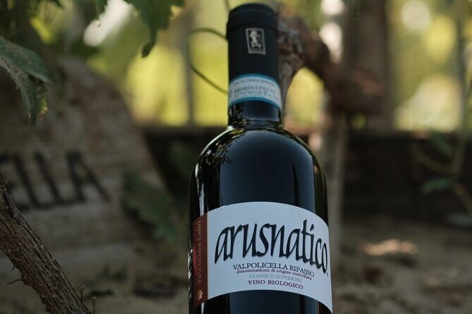 Amarone 2005 Wine Experience - A Detailed Look at the Amarone 2005 Wine Experience