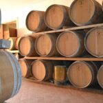 Amarone Della Valpolicella Wine Experience - Meet the Vogadori Family - Who Should Book This Experience?