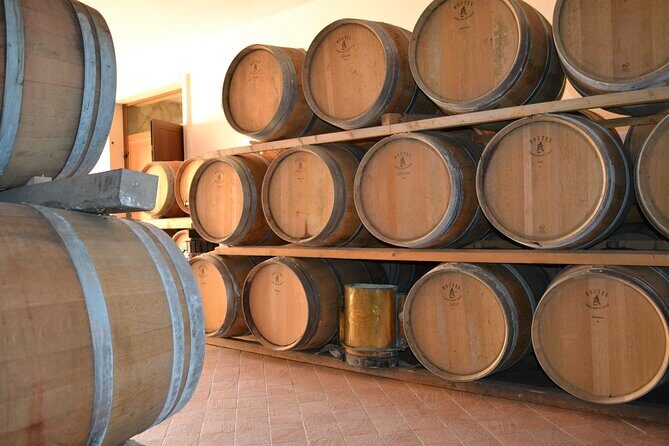 Amarone Della Valpolicella Wine Experience - Meet the Vogadori Family - Who Should Book This Experience?