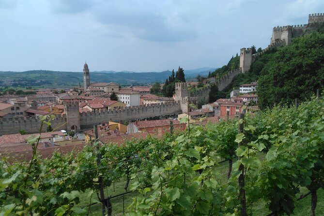 Amarone-Soave wine tour. Visit Verona. From Venice - Frequently Asked Questions