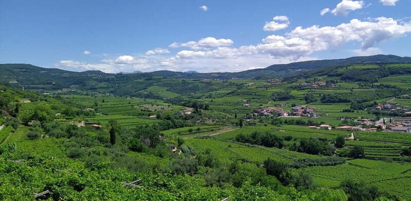 Amarone vertical tasting: A unique experience tasting different vintages of Amarone - Exploring the Tour in Depth