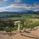 Amarone Wine Tasting from Verona - Who Should Book This Tour?