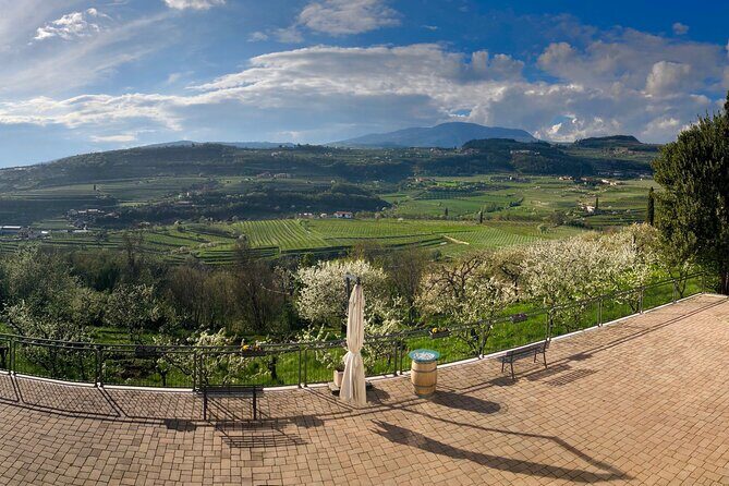 Amarone Wine Tasting from Verona - Who Should Book This Tour?