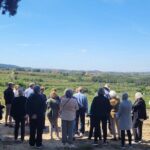 Amarone Wine Tour with 2 Wineries Lunch and Private Transfer - Considerations for Travelers