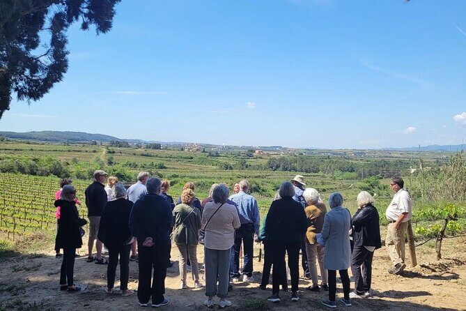 Amarone Wine Tour with 2 Wineries Lunch and Private Transfer - Considerations for Travelers