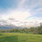 Amatrice and Rieti Day Tour from Rome - Who Is This Tour Best Suited For?