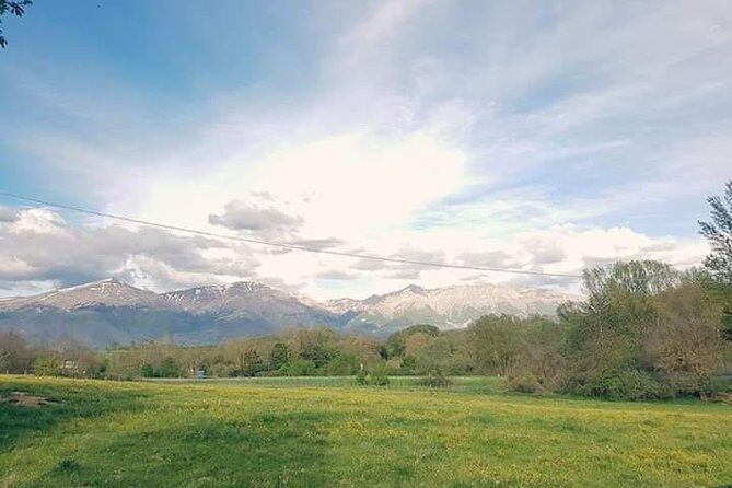 Amatrice and Rieti Day Tour from Rome - Who Is This Tour Best Suited For?
