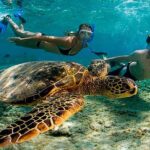 Amazing Adventure in Akumal. Swim with turtles and discover Tulum Ruins. - Authentic Insights from Travelers