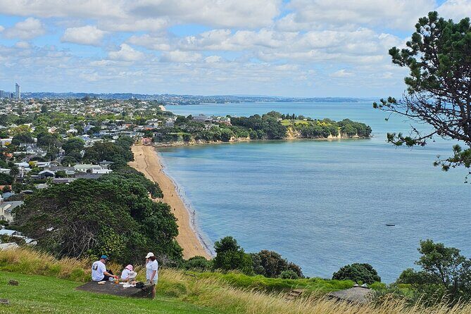 Amazing Auckland City Half Day Guided Tour - Final Thoughts