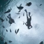 Amazing Clear Boat Adventure and Unlimited Beach Break with Lunch - Practical Tips for Your Day