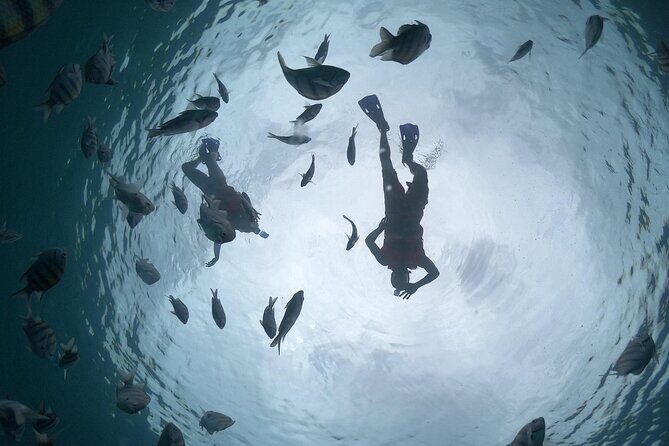 Amazing Clear Boat Adventure and Unlimited Beach Break with Lunch - Practical Tips for Your Day