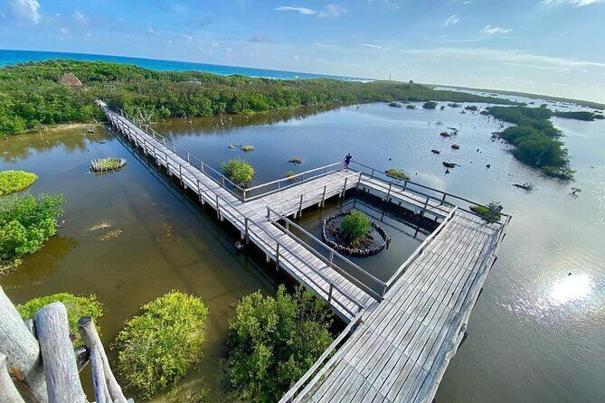 Amazing Jeep Tour Visit Punta Sur Park and San Gervasio Ruins - Who Should Consider This Tour?