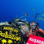 AMAZING KUSADASI SCUBA DIVING - The Dive Experience: Spectacular Waters and Underwater Views